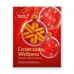 Созвездие Wellness. Праздник. Здоровье. Красота - Каталог Декабрь 2023 | Сибирское здоровье / Siberian Wellness