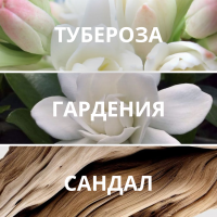 Набор миниатюр Уютные мгновения | Сибирское здоровье / Siberian Wellness