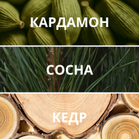 L’essence de Taiga, духи-концентрат, 1,5 мл - Aromapolis Olfactive Studio | Сибирское здоровье / Siberian Wellness