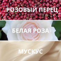 Набор миниатюр Уютные мгновения | Сибирское здоровье / Siberian Wellness