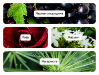 Arc-en-Ciel Emerald / Арк-ен-сьель Эмеральд, парфюмерная вода, 20 мл | Сибирское здоровье / Siberian Wellness